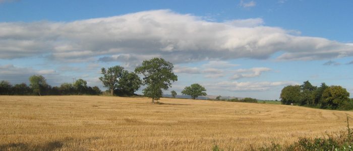 Fields between apperley and deerhurst